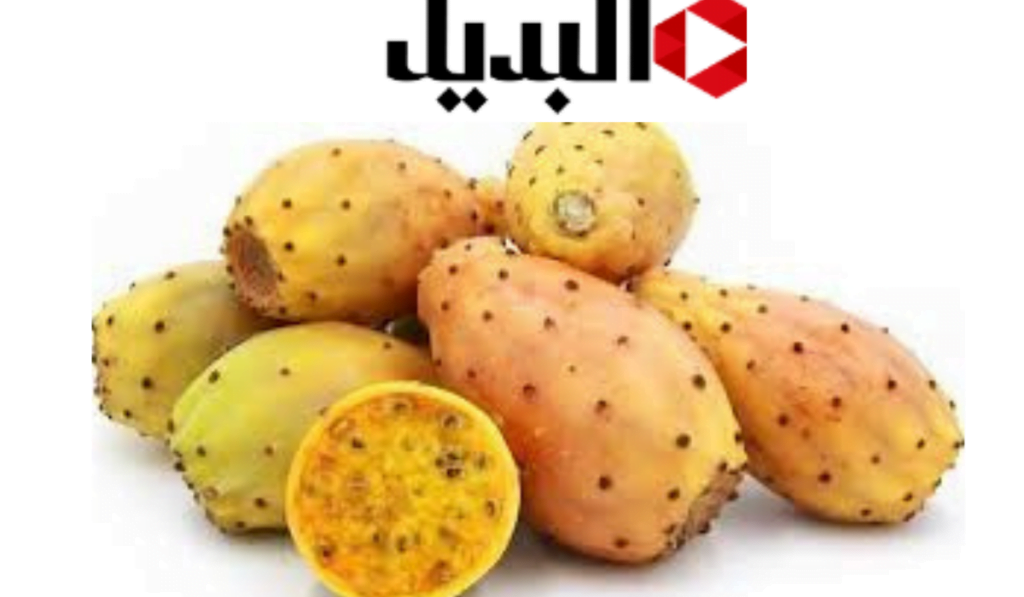 إضافة عنوان 6 1