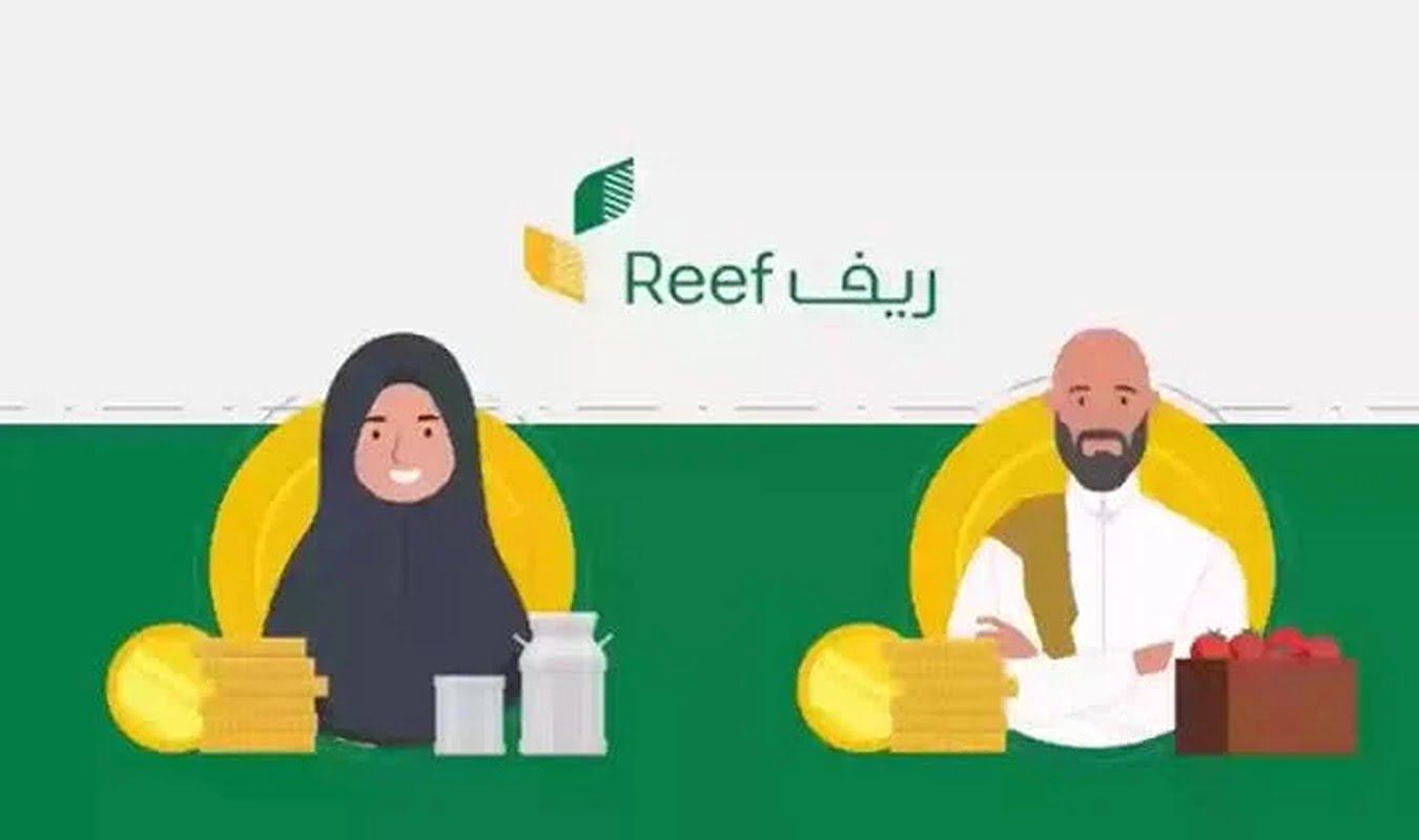 “من هنا” خطوات الاستعلام عن أسماء المستفيدين من دعم ريف والشروط.. وموعد ظهور أهلية دعم ريف