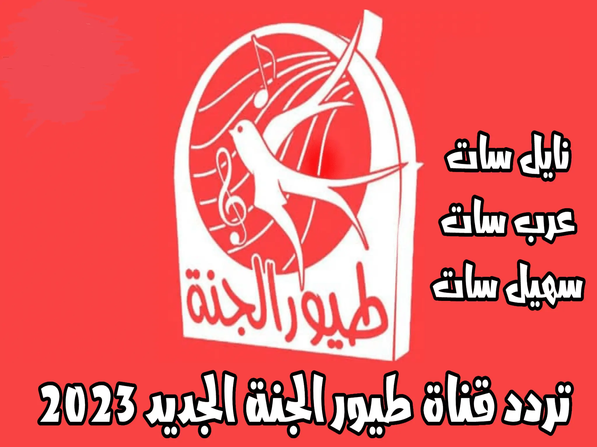 ثبتيها دلوقتي للاولاد وارحمي النت” تردد قناة طيور الجنة  الجديد 2024