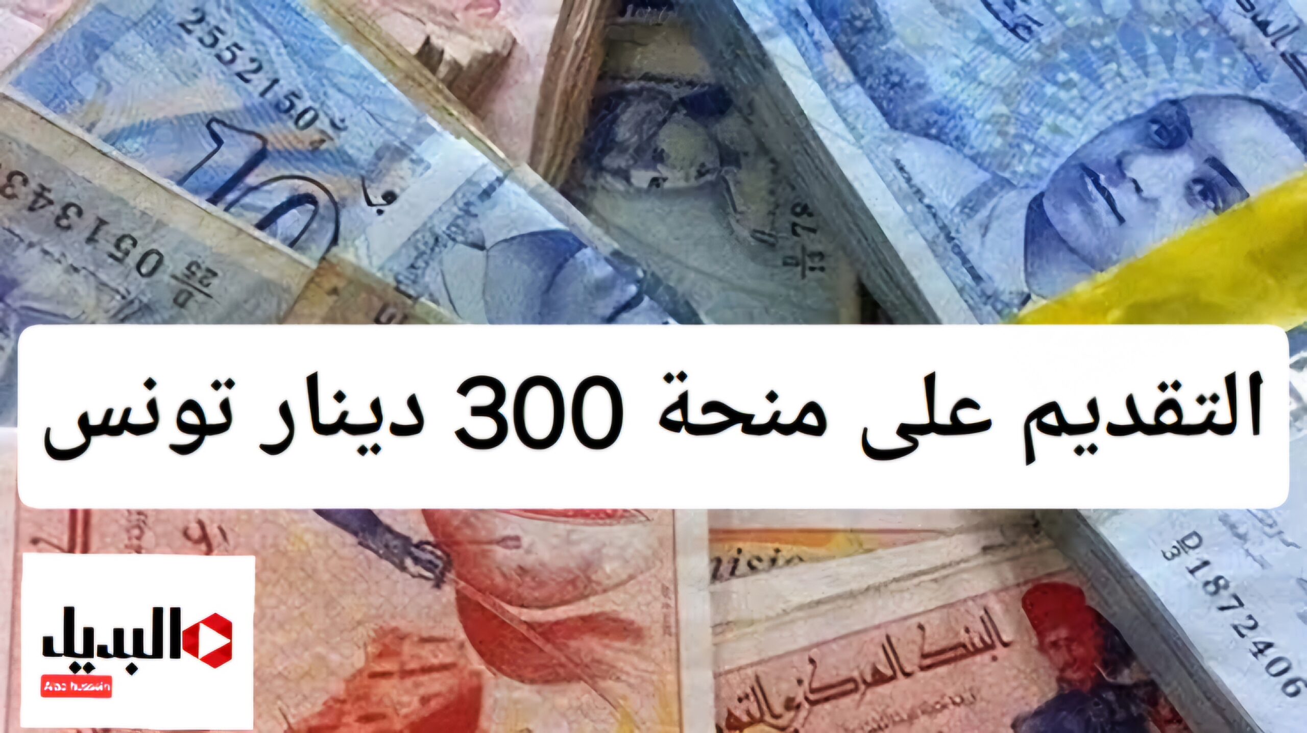 قيد عندك.. فتح باب التقديم علي منحة 300 دينار تونس 2024.. أهم الشروط وخطوات التسجيل