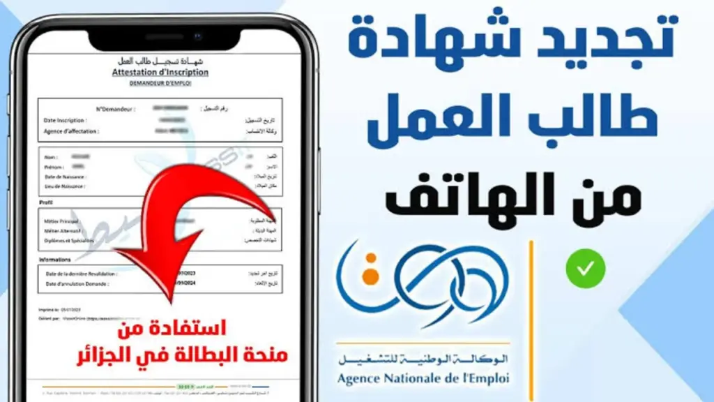 تجديد منحة البطالة كل 6 أشهر