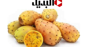 إضافة عنوان 6 1