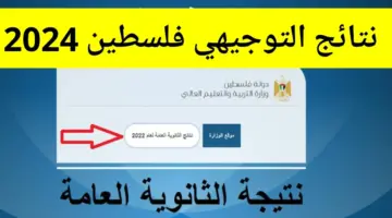 استعلام عن نتائج التوجيهي فلسطين 2024 . عبر الرابط