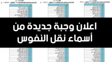 الاستعلام عن أسماء نقل النفوس بالعراق