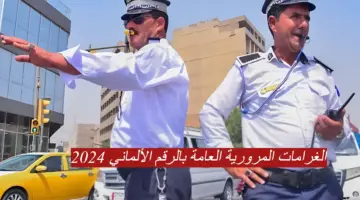 الغرامات المرورية العامة بالرقم الألماني 2024 1