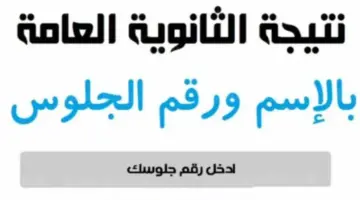 الوزارة توضح مؤشرات النجاح . موعد نتيجة الثانوية العامة 2024 بالاسم ورقم الجلوس