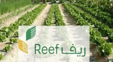 برنامج دعم ريف