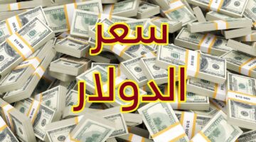 تباين في سعر الدولار اليوم داخل البنوك المصرية من 32.2 إلى 29.65 جنية اعرف أعلى و أقل بنك اليوم