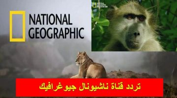 تردد قناة ناشيونال جيوغرافيك 2024 National Geographic