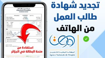 خطوات تجديد منحة البطالة الجزائرية