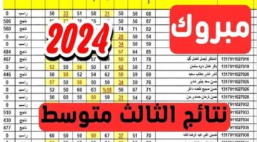 رابط نتيجة الثالث المتوسط 2024 في العراق 2024 الدور الأول عبر موقع نتائجنا copy 0 800x500 1