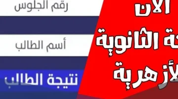 رابط نتيجة الثانوية الأزهرية 2022 برقم الجلوس 768x576 1