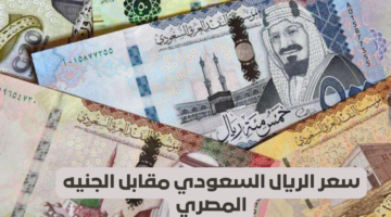 سعر الريال السعودي مقابل الجنيه المصري