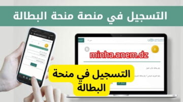 طريقة تجديد منحة البطالة الجزائرية 2024 والشروط المطلوبة