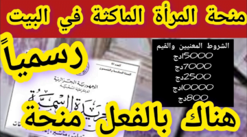 كيفية التسجيل في منحة المرأة الماكثة في المنزل؟