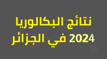 لينك مباشر بالدرجات. نتائج بكالوريا الجزائر الديوان الوطني الجزائري جميع الولايات 2024