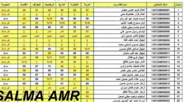 نتائج الثالث المتوسط العراق 2024 عموم المحافظات