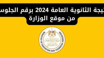 نتيجة الثانوية العامة 2024 برقم الجلوس من موقع الوزارة