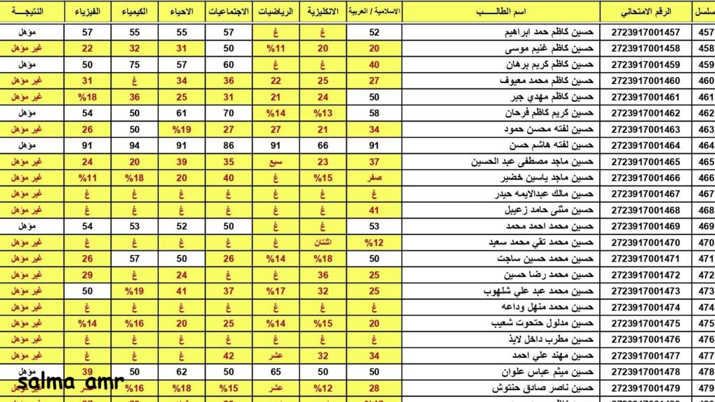 نتائج السادس الابتدائي الدور الثاني 2024 نتائجنا