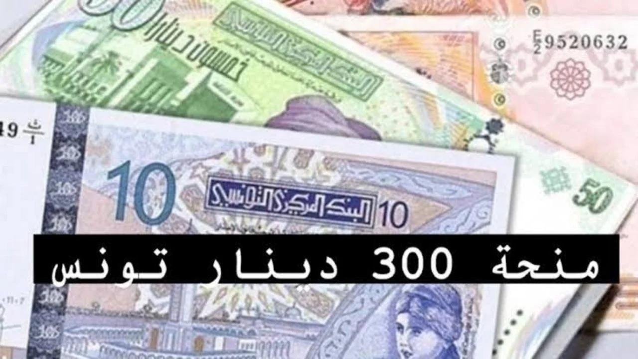 حقيقة زيادة شهر اغسطس؟ آخر تحديث لمنحة منحة تونس 300 دينار بالشروط المطلوبة