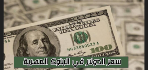 الأخضر بكام؟.. سعر الدولار أمام الجنيه اليوم الأربعاء