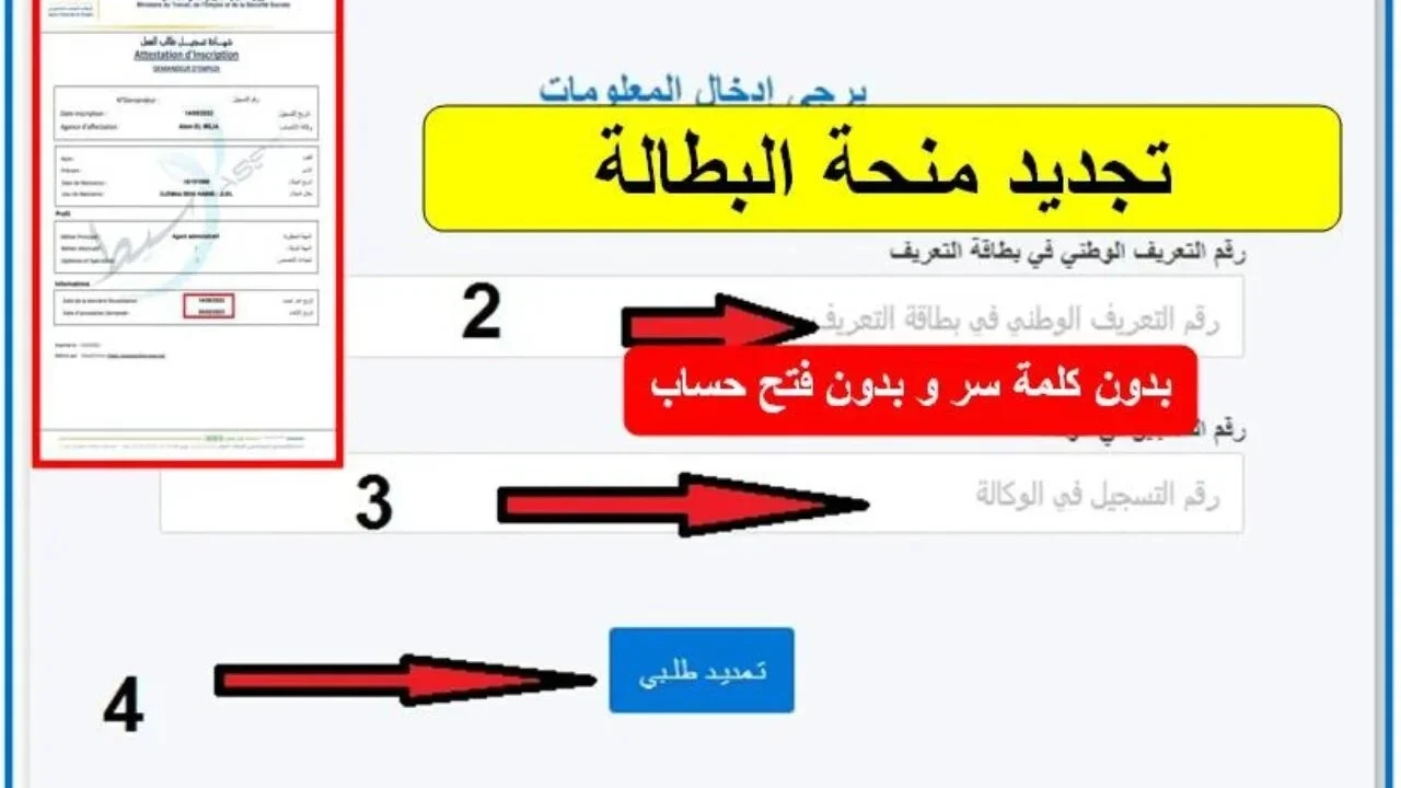 ” جددها الآن من هنا “.. طريقة تجديد منحة البطالة في الجزائر 2024 كل 6 أشهر والشروط المطلوبة