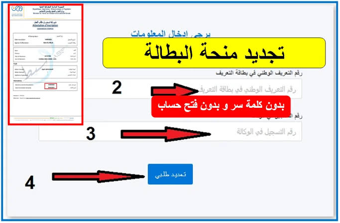 جددها واحصل على الدعم .. بالخطوات طريقة تجديد منحة البطالة في الجزائر 2024 والشروط المطلوبة