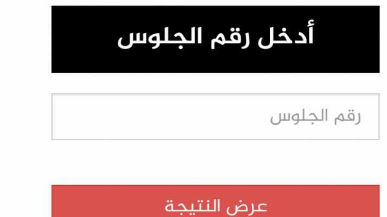  “اعرفها فى ثوانى” نتيجة الثانوية العامة 2024 موقع نذاكر وموقع نتيجة نت natega4dk