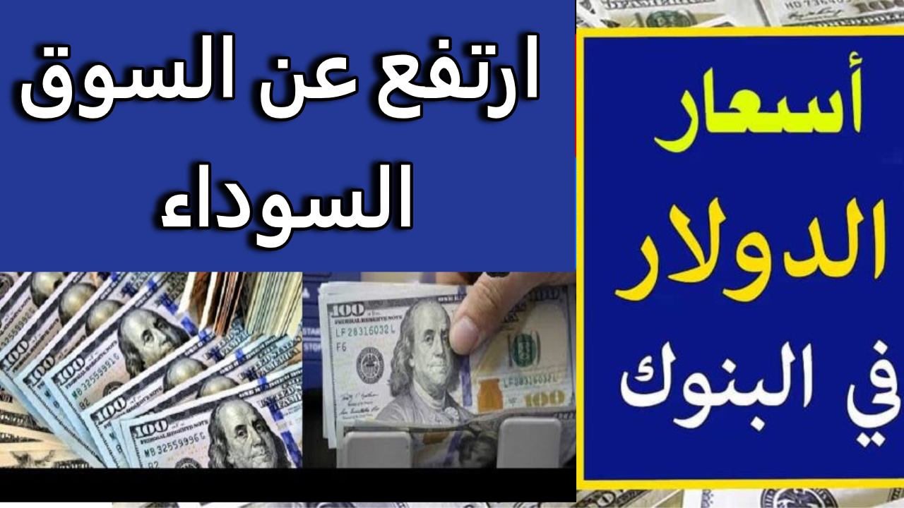 الدولار رجع زي ما كان.. سعر الدولار اليوم مقابل الجنيه المصرى والعملات في البنوك الحكومية والخاصة