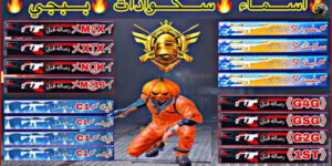 أسماء ببجي مزخرفة فخمة