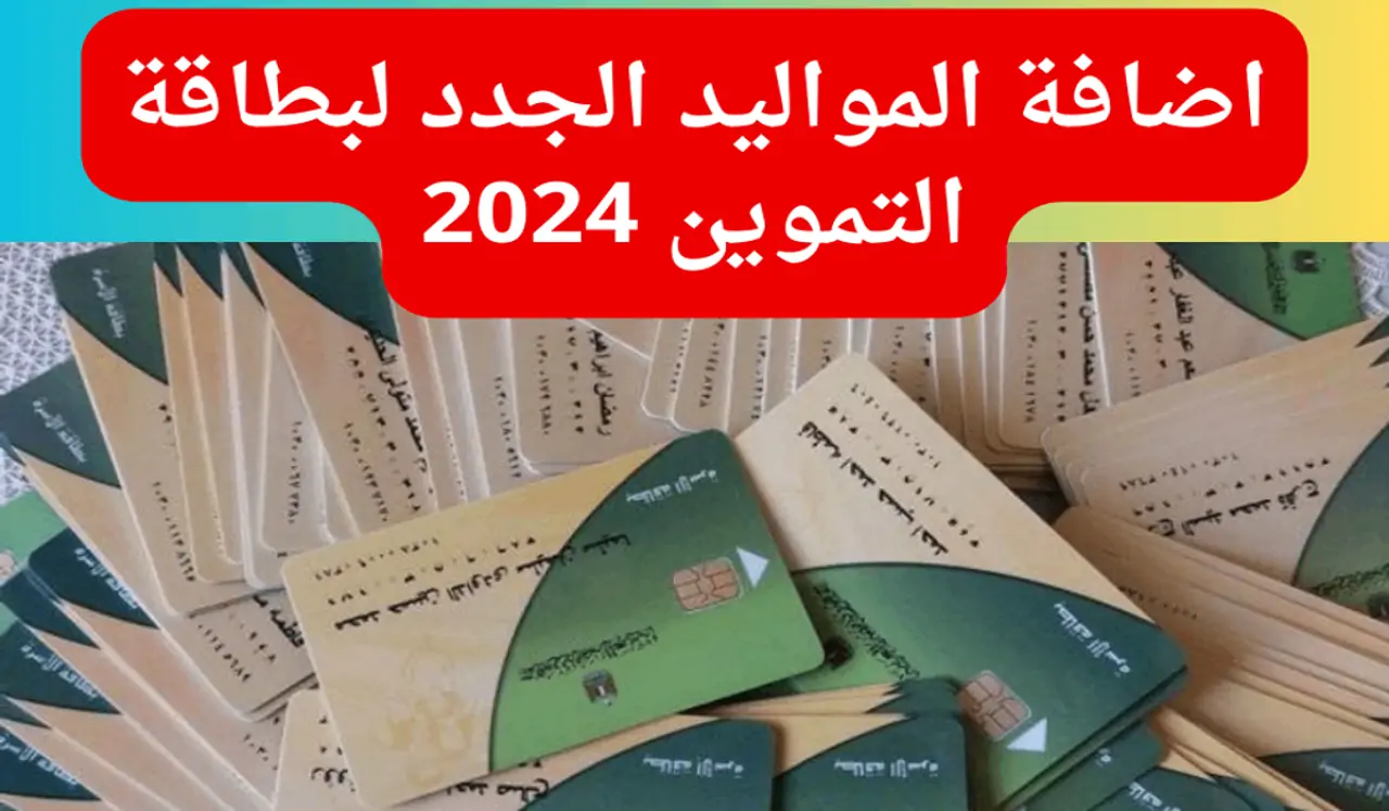 فرحة المولود الجديد بتكمل بفرحة الدعم الحكومي.. خطوات إضافة المواليد على بطاقة التموين 2024