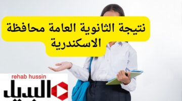 إضافة عنوان 25