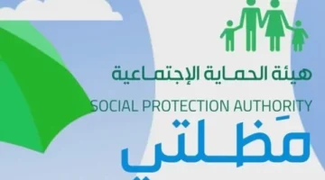 استخدام منصة مظلتك 2023 اخر تحديث بالاسم منصة مظلتي spa.gov .iq e1689764820878