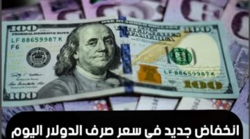 استمرار تراجع الدولار أمام الجنيه اليوم الخميس 15 أغسطس 2024 في البنوك المصرية بنحو 50 قرشاً