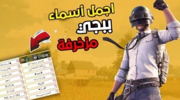 اسماء ببجي مزخرفة PUBG