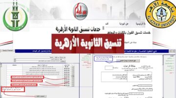 الاستعلام نتيجة تنسيق الثانوية الأزهرية وتوقعات المرحلة الأولى