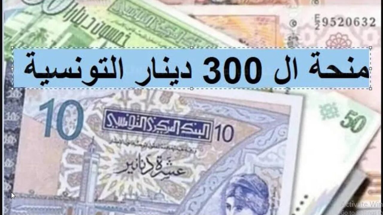 سجل الان في منحة تونس صرف 300 دينار وتعرف على شروط التسجيل