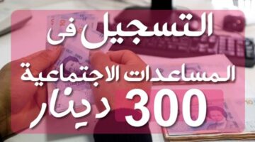 التسجيل في منحة 300 دينار تونس 4 1 1 1