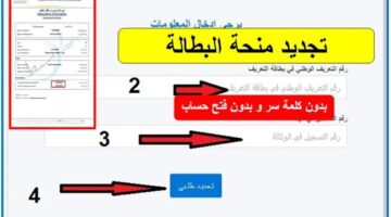 تجديد منحة البطالة كل 6 أشهر