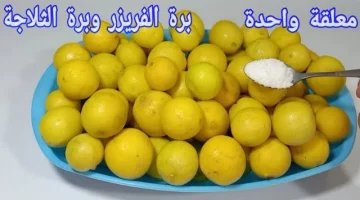 تخزين الليمون من السنة للسنة