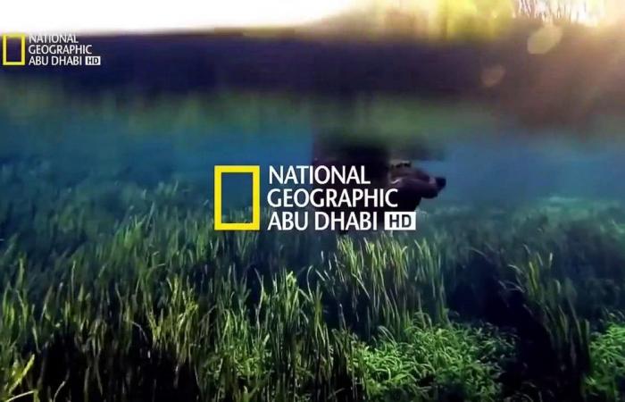 استقبل الآن تردد قناة ناشيونال جيوغرافيك 2024 National Geographic على جميع الاقمار الصناعية لمتابعة اجمل البرامج والافلام الوثائقية