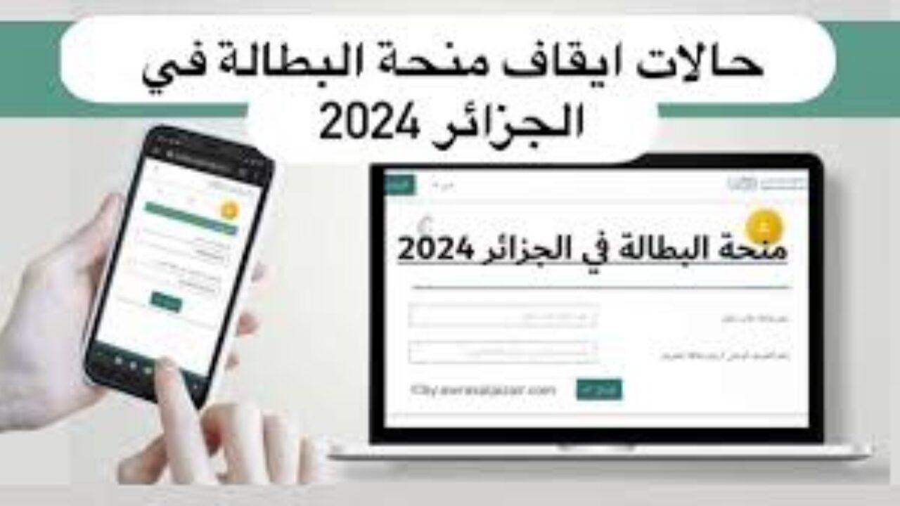 الوكالة الوطنية للتشغيل الجزائرية توضح حالات ايقاف منحه البطاله بالجزائر 2024 وأهم خطوات التسجيل