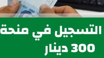 رابط التسجيل في منحة 300 دينار