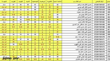 رابط نتائج السادس الاعدادي في العراق 2024 1