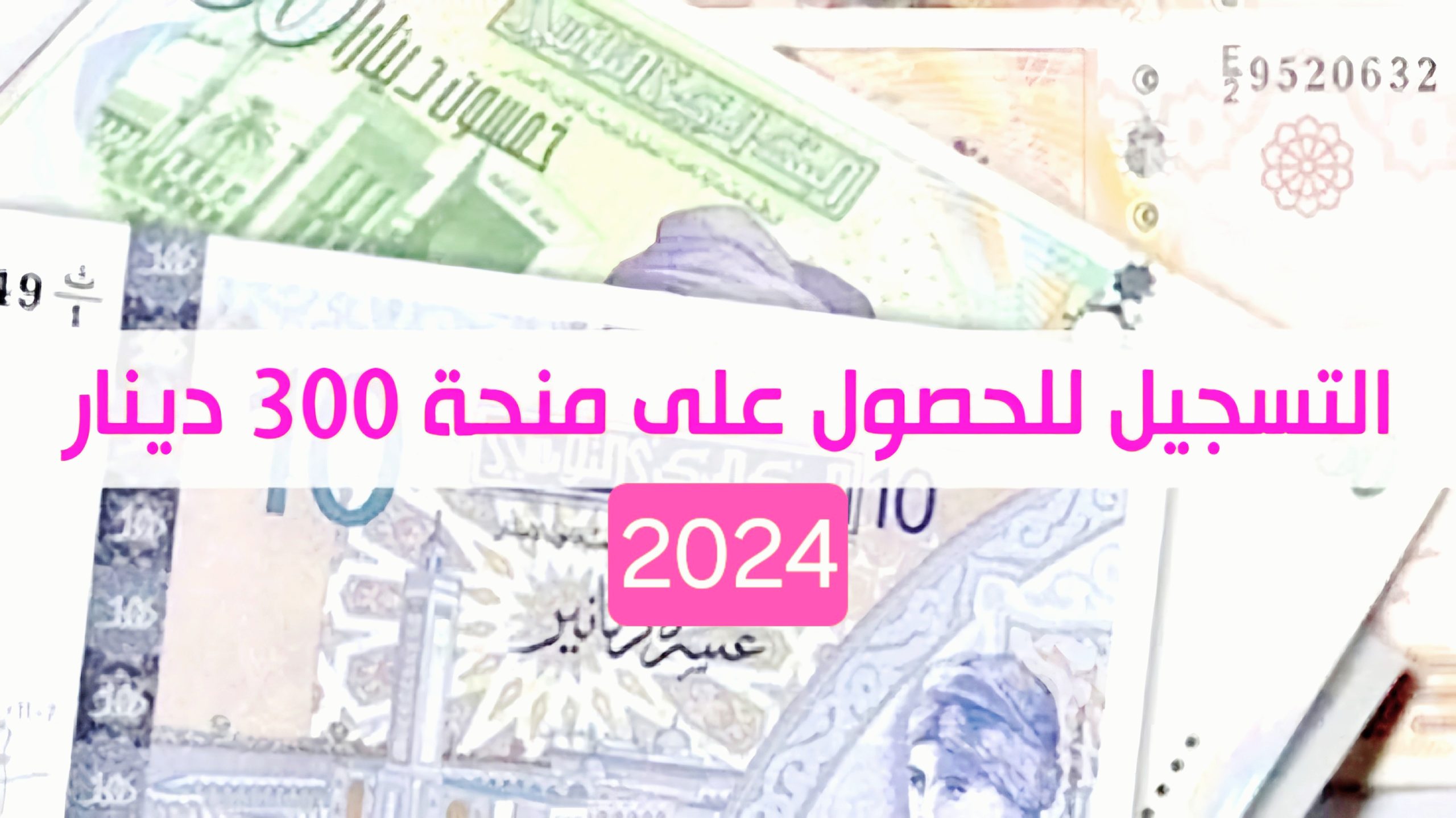 التسجيل بدأ في منحة تونس 300 دينار .. الشروط والخطوات بناءً على تعليمات الشؤون الاجتماعية