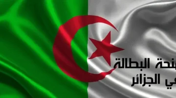 طريقة تجديد منحة البطالة في الجزائر 2024 1