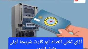 كارت عداد الكهرباء