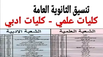 مؤشرات تنسيق الثانوية العامة 2024 1