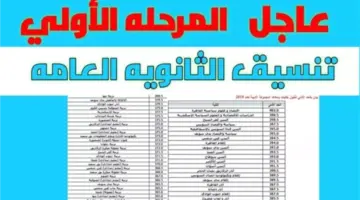 مجموعك هيجيبلك أي؟؟.تنسيق الثانوية العامة توقعات المرحلة الأولى ورابط الموقع الرسمي للتنسيق 2024