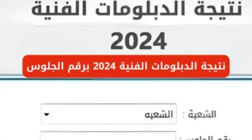 من هنا برقم الجلوس. نتيجة الدبلومات الفنية الدور الثاني جميع محافظات الجمهورية 2024